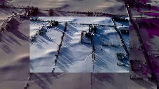 Onglish - Peaceful As Mennonite Deforestation Visualizer