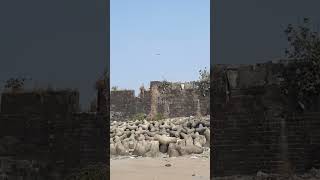 #mahimfort #grade1 #heritagestructure #restoration #bmc #mahimbeach #beautificationproject
