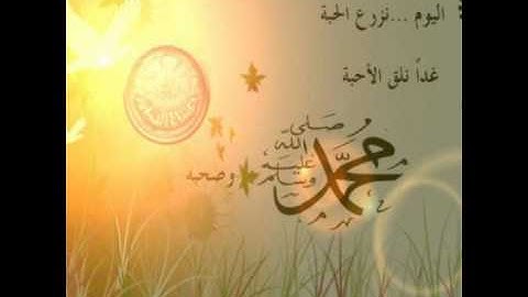 الشيخ محمد برهجي - ماتيسر من سورة النساء