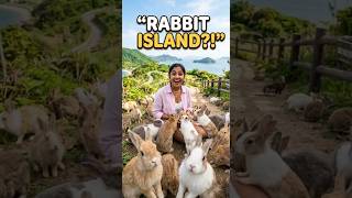 Japan oda Secret Rabbit Island 😳🇯🇵