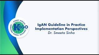 KDIGO IgAN Guideline in Practice: Implementation Perspectives