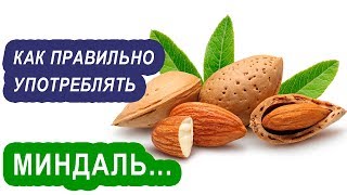 Польза миндаля для организма. Почему замоченный миндаль лучше