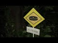 野生のルンバ Stray Roomba