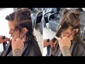 Long Layered Men&#39;s Haircut Tutorial with Razor | Cutting Techniques