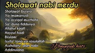 SHOLAWAT BANJARI - SHOLAWAT BUSYRO | SHOLAWAT NABI FULL ALBUM