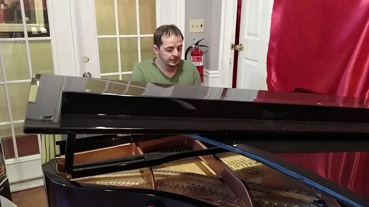 Magnetic Fields, Busby Berkeley Dreams - Covered b...