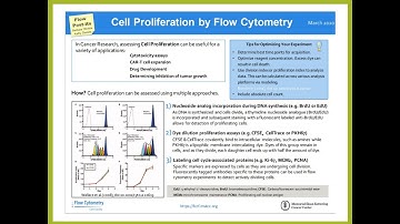 FCCF Virtual Classroom: Cell Cycle & Proliferation Analysis with FCS Express 7