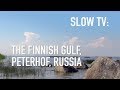SLOW TV: The Finnish Gulf, Peterhof, Russia