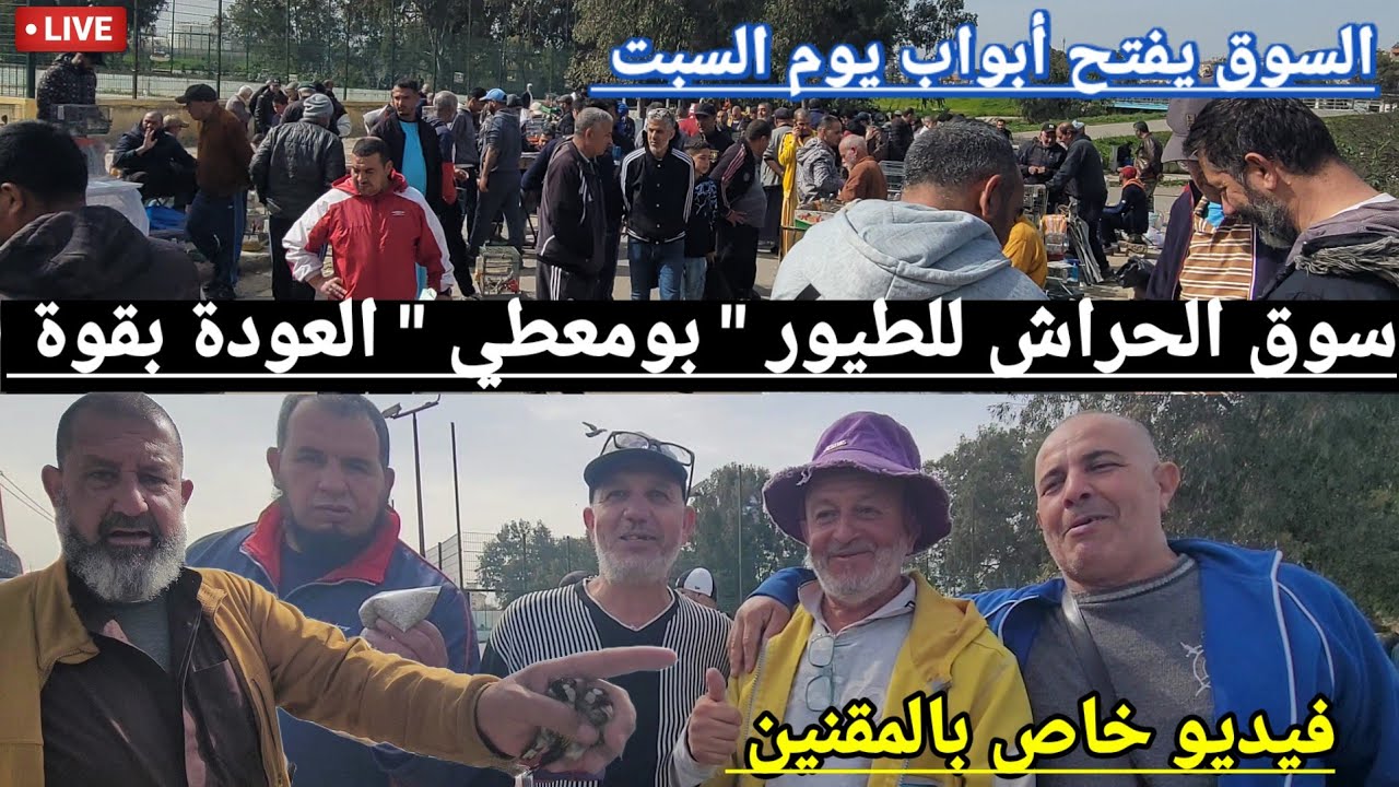 سوق الحراش للطيور 