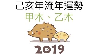19己亥年流年運勢 甲乙木 Youtube