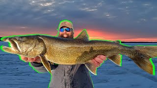 Maine Lake Trout !
