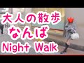 【大阪難波】近鉄難波駅周辺を散歩|大阪|難波|なんば【大人の散歩(Night Walk)】