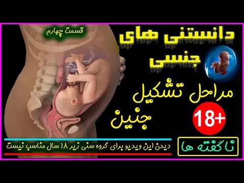 تصویری: نوزادان انسان چگونه تولید مثل می کنند؟