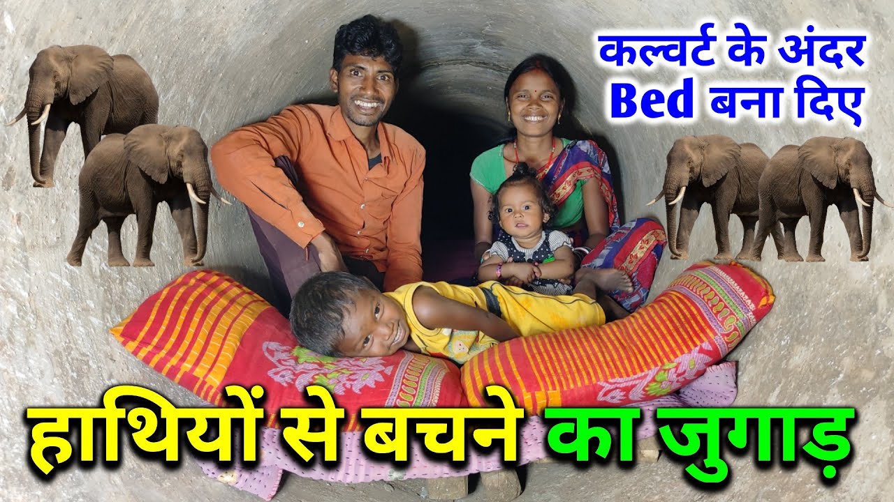 हाथियों से बचने का देशी जुगाड़ | कल्वर्ट के अंदर Bed बना दिए | Pahadi Lifestyle Vlog