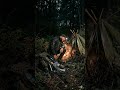 24 Hours Alone in the Forest — Survival Timelapse Reality #adventure #timelapse #ai