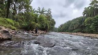 Nature Forest River Sungai Bahorok Langkat Sumatera Utara Lebaran 2025