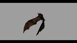 Bat.avi