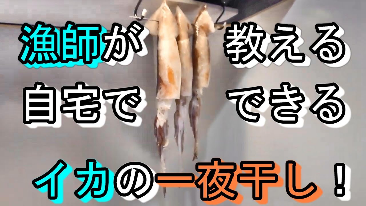 肝付きスルメイカの一夜干し 漁師が自宅で作る干物シリーズ 簡単漁師飯 Youtube