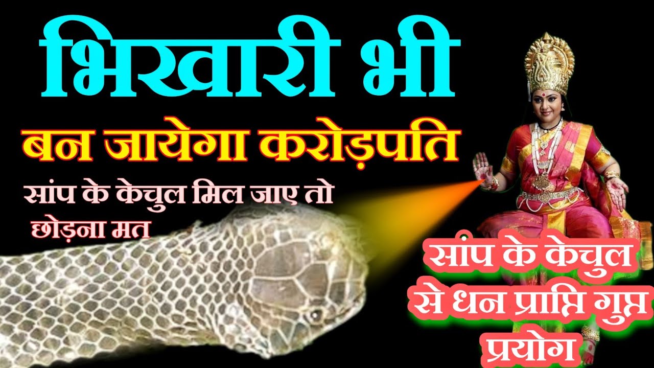 इस सांप के केचुल मिल जाए तो छोड़ना मत रातोरात मालामाल बना देगा//