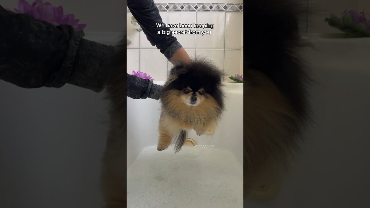 Big secret reveal 🫢 