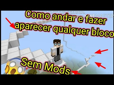 Vídeo: Você pode colocar blocos no gelo?