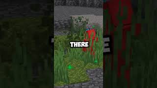 Why I Use Moss to Find Diamonds