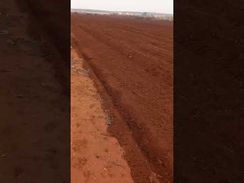 مثل الحياة الدنيا كماء انزلنه من السماء فاختلط به نبات الأرض