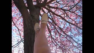 Vintage Spring.