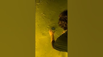 Hand catching flounder #fishing #atlantic #skiff #flounder #gigging #florida #gopro #flatsfishing