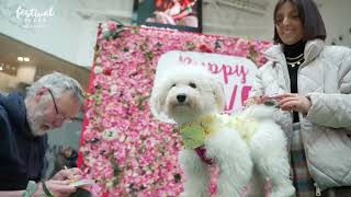 Puppy Love Valentine's Day event at Festival Place, 2023