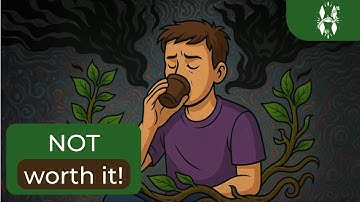 12 untold RISKS about Ayahuasca
