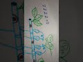 parrot art drawing