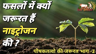 पौधों में नाइट्रोजन की कमी के लक्ष्ण, Nitrogen की जरूरत & फ्री मे कैसे नाइट्रोजन की कमी को पूरा करें