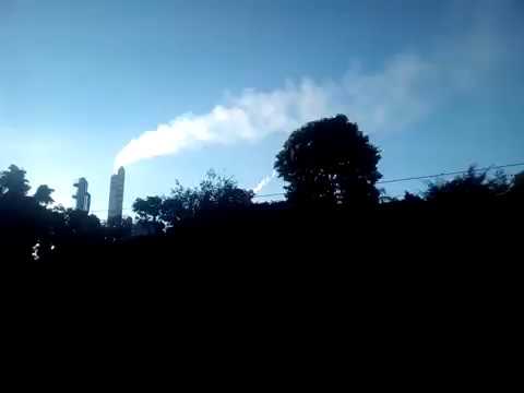 Ripasa na Fábrica Papel do Celulose - YouTube