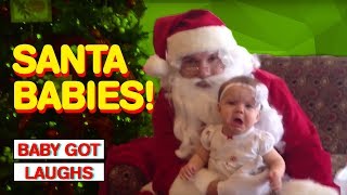 Babies Meet Santa Claus | Happy Holidays From Baby Got Laughs!