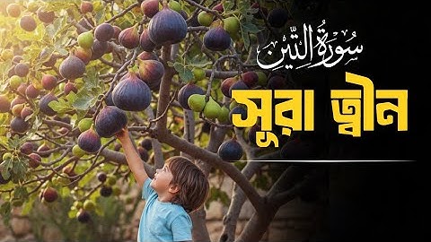 সূরা ত্বীন এর সুন্দর তেলাওয়াত। Surah At Tin | سورة التين | সৎ পথের পথিক। 