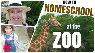 🐆 How To Turn A Zoo Trip Into A HOMESCHOOL DAY || Free Printable Download in the Description! 🐆