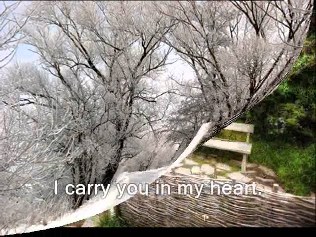 I Carry You In My Heart (Steve's Song)