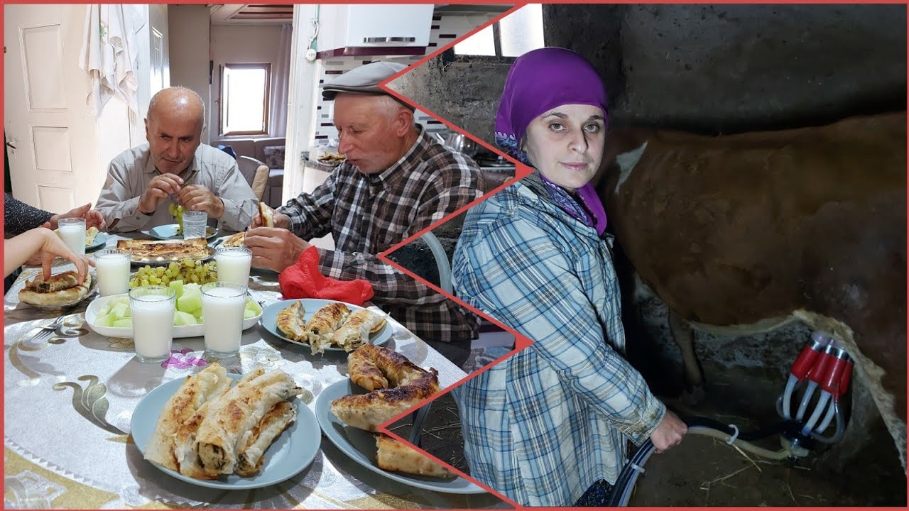 İneğimizi sağdik akşam yemeği