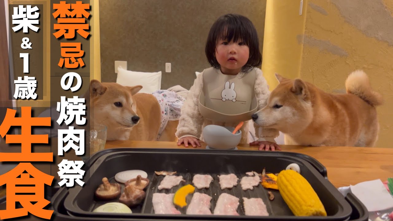 楽しい焼肉パーティー…のはずが、次々と生食する１歳児と眺める柴犬