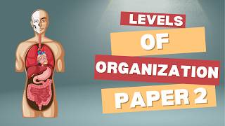 Every paper 2 Question on Levels of organization (1.2) | IGCSE Biology 0610/0970