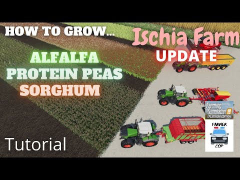 Como crescer alfafa, ervilhas proteaginosas e sorgo em Farming Simulator 19 !!