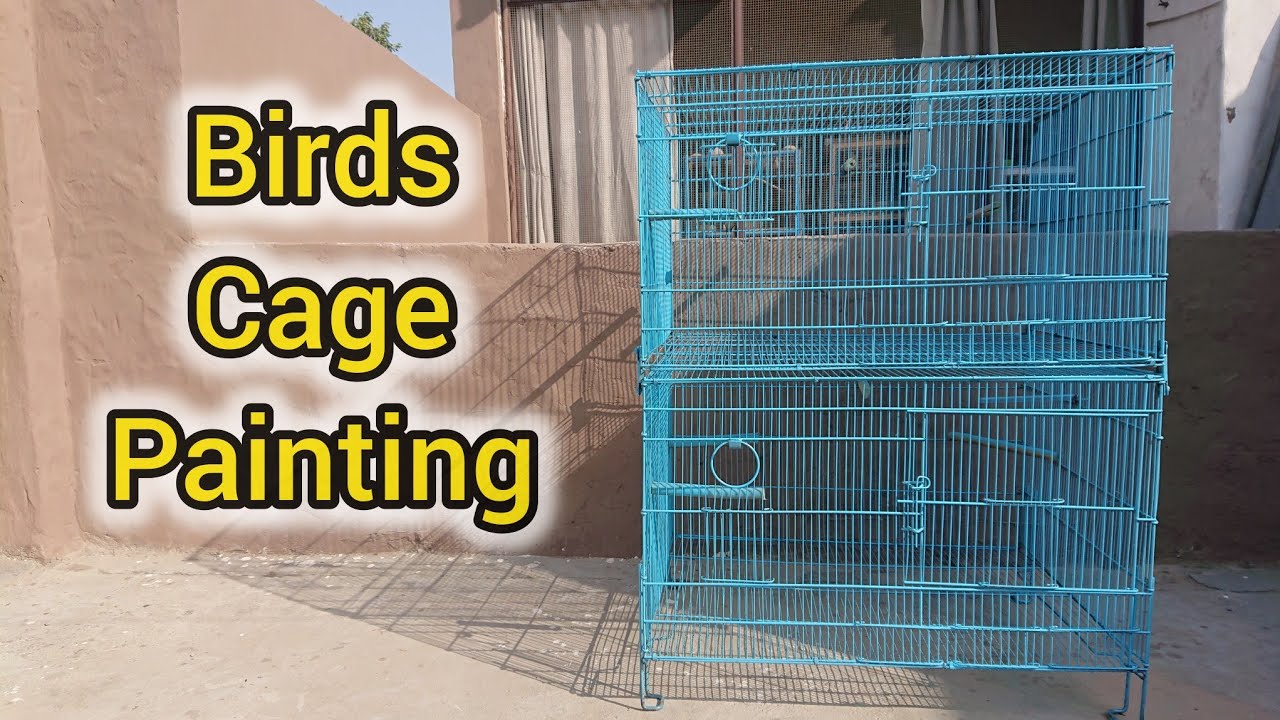 Painting My Birds old Cage With Spray machine l Looks Brand New