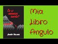 #LibroAngulo 33 • Ĉu li bremsis sufiĉe