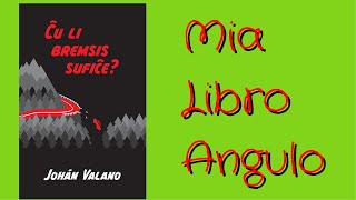 #LibroAngulo 33 • Ĉu li bremsis sufiĉe