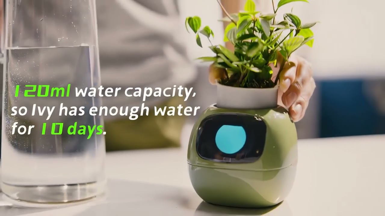 https://Ellvyra.com/smart-planter-with-ai-technology