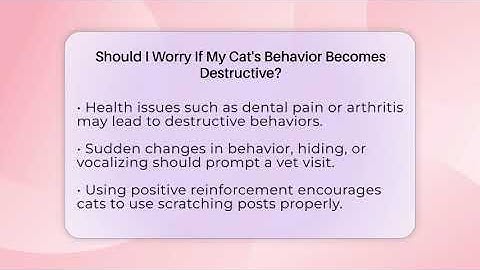 Should I Worry If My Cat