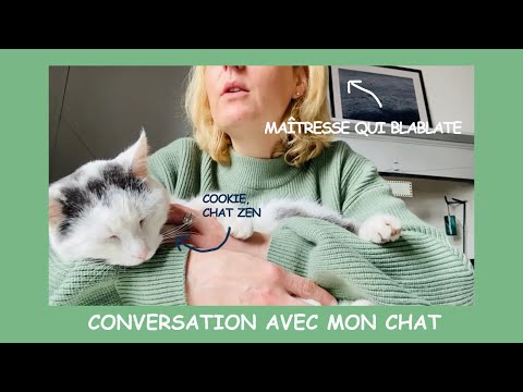 Conversation avec mon chat - Chat 107