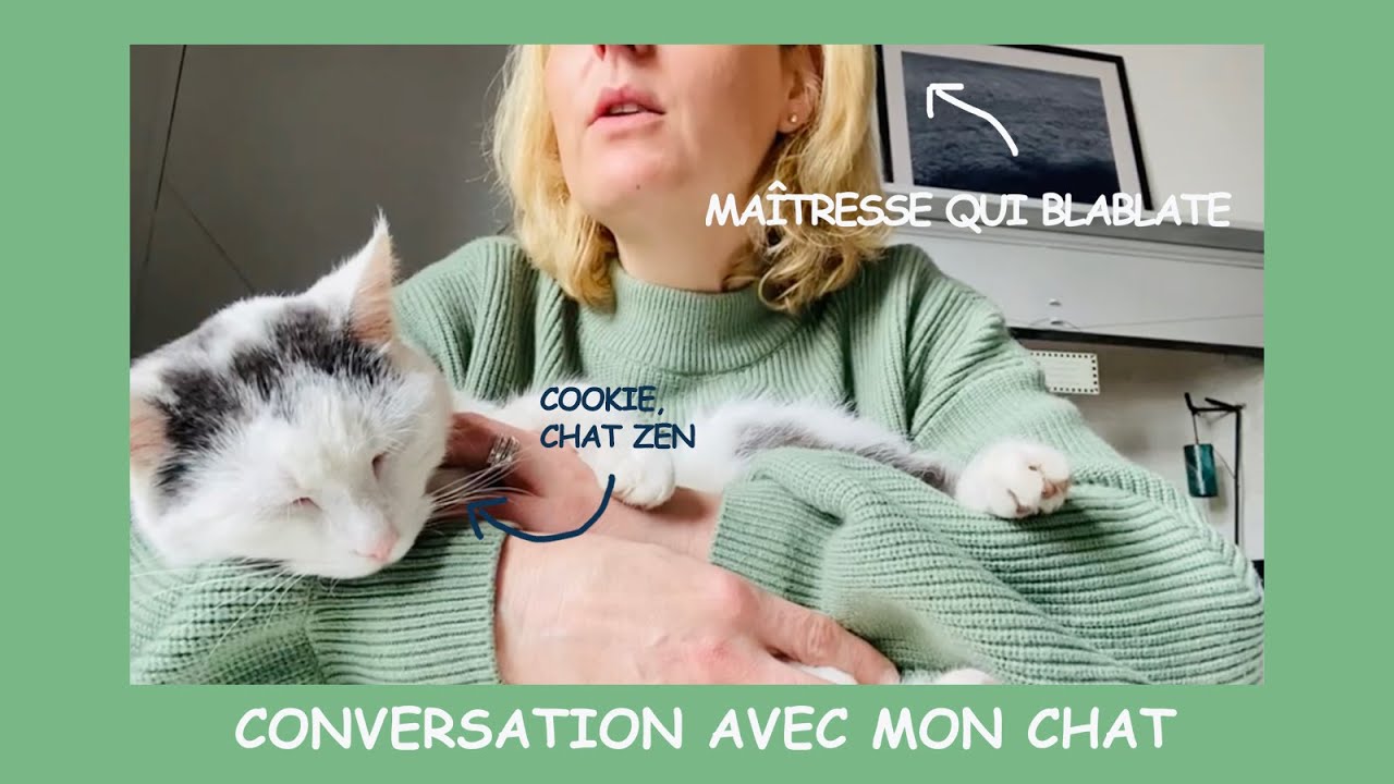 Conversation Avec Mon Chat Chat 107 Youtube
