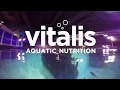 Vitalis @ Public Aquariums